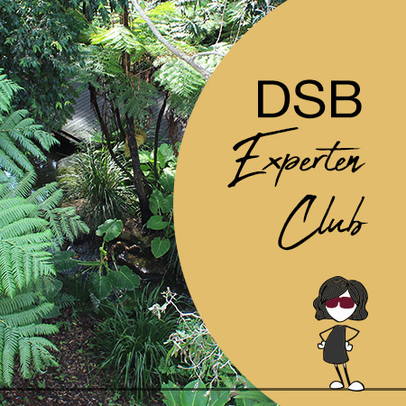 DSB Experten Club